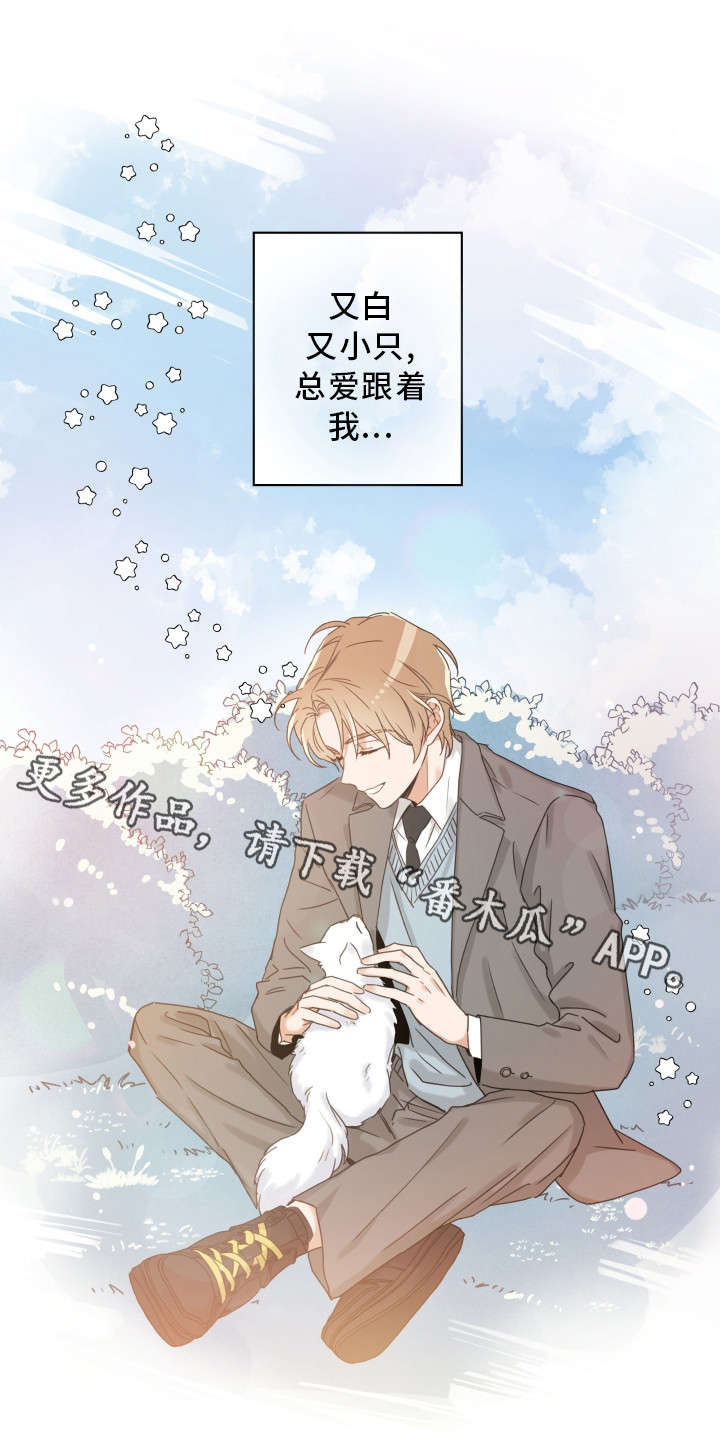 亲爱的喵君漫画,第15章：抓伤2图