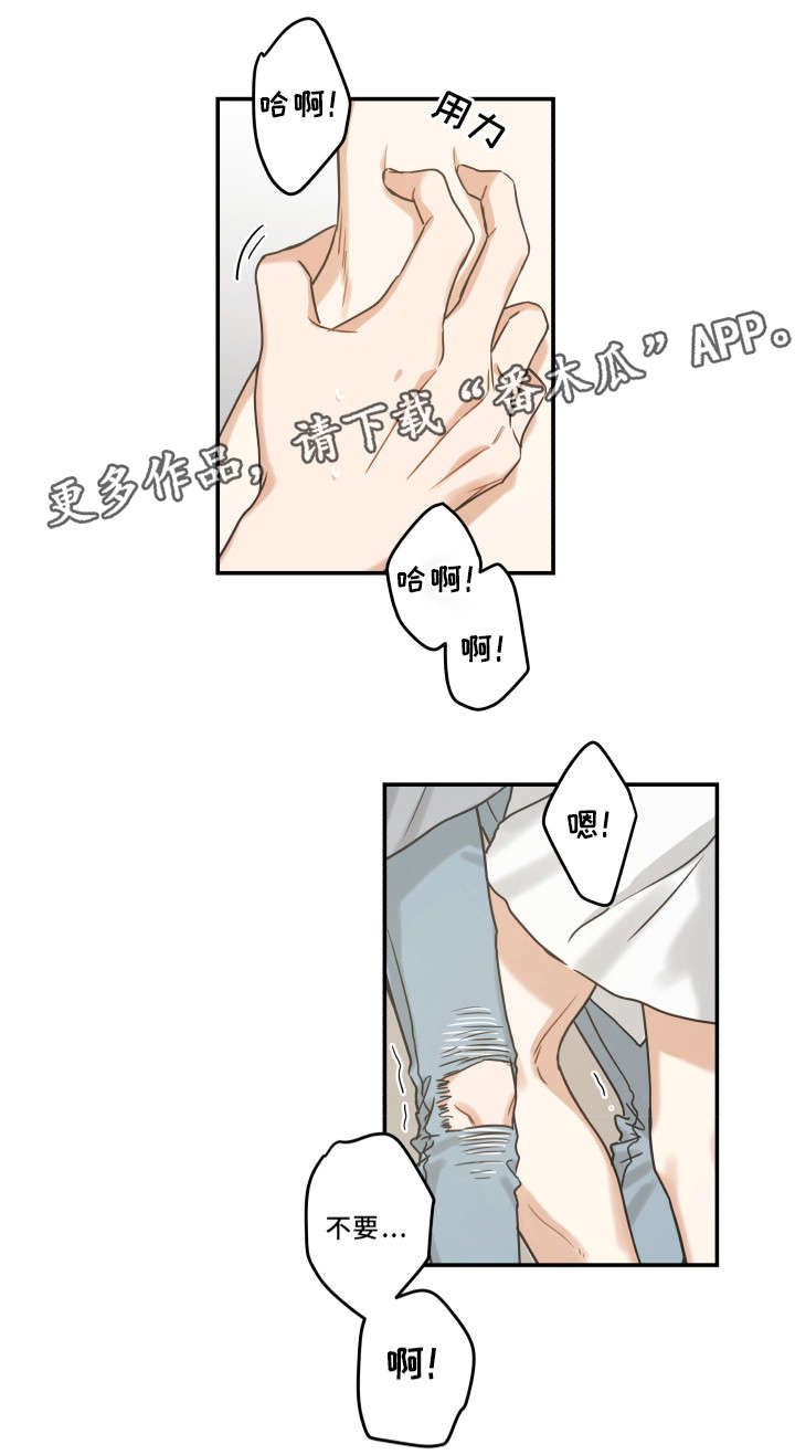 亲爱的喵君漫画,第20章：感觉好吗3图