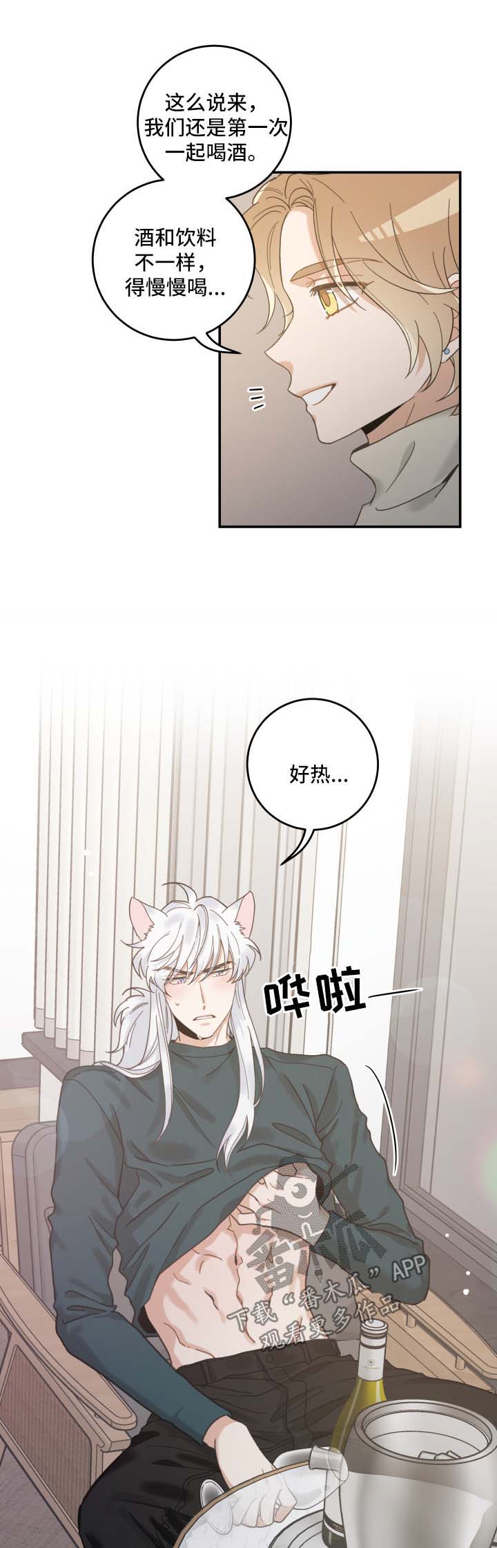 亲爱的喵君漫画,第49章：酒店3图