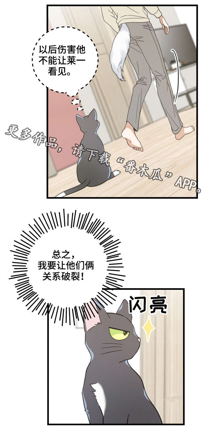 亲爱的喵君漫画,第41章：本能2图