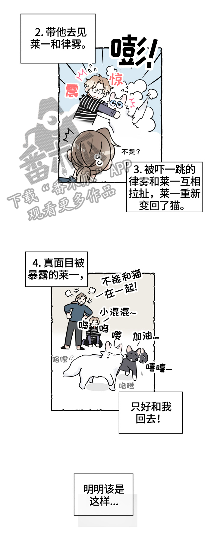 亲爱的喵君漫画,第55章：新邻居4图