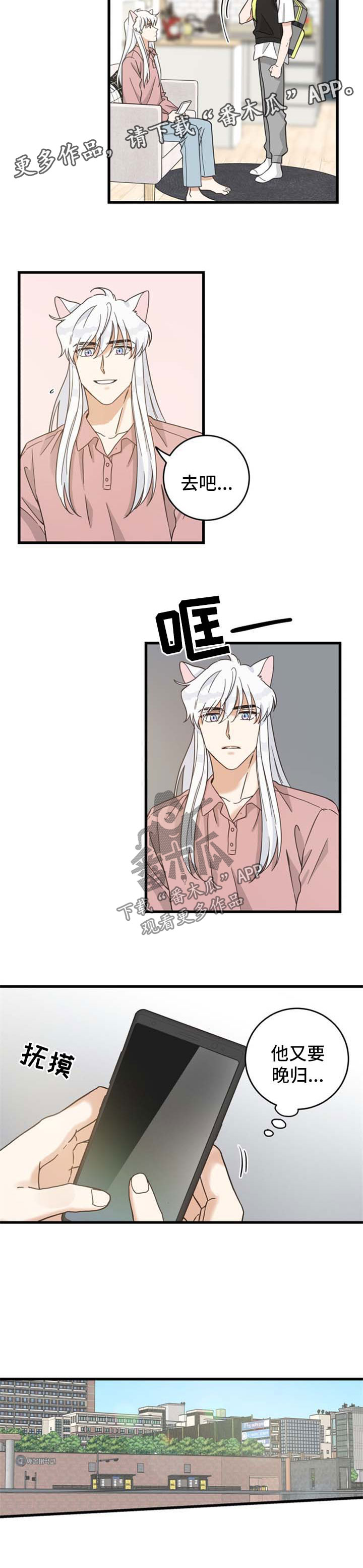 亲爱的喵君漫画,第90章：像梦一样5图