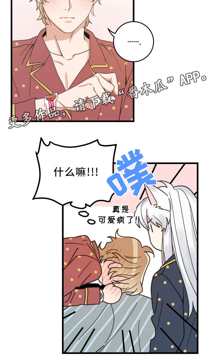 亲爱的喵君漫画,第30章：最好的礼物3图