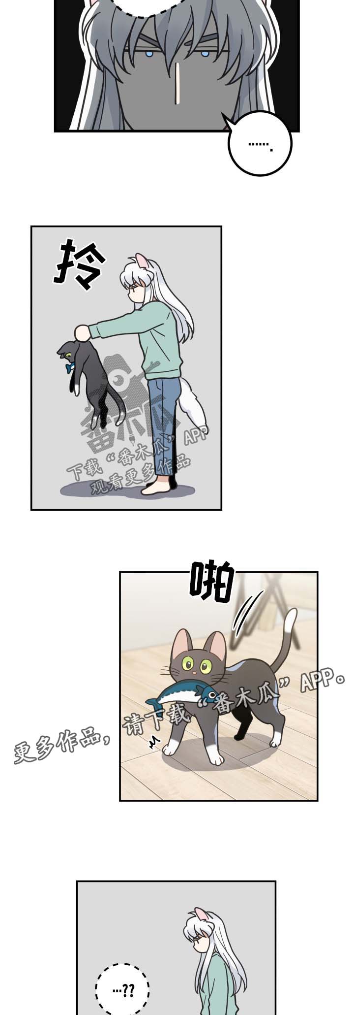 亲爱的喵君漫画,第45章：生气2图