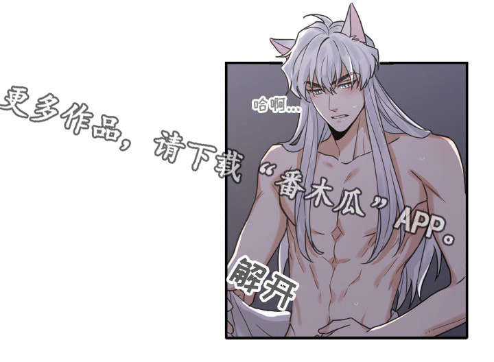 亲爱的喵君漫画,第20章：感觉好吗3图