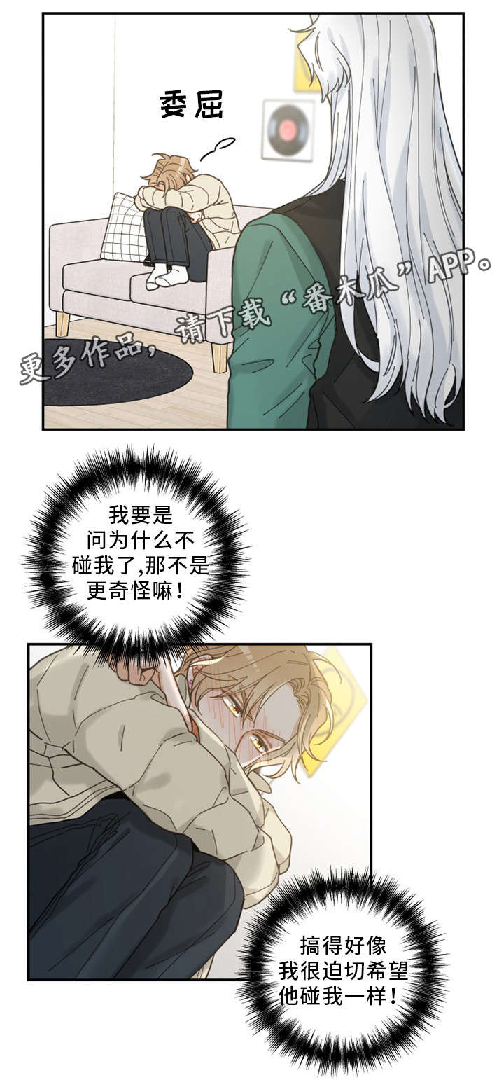 亲爱的喵君漫画,第13章：心心念念4图