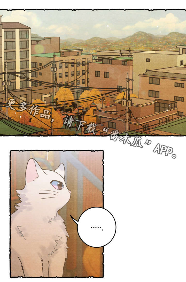 亲爱的喵君漫画,第38章：打扰1图