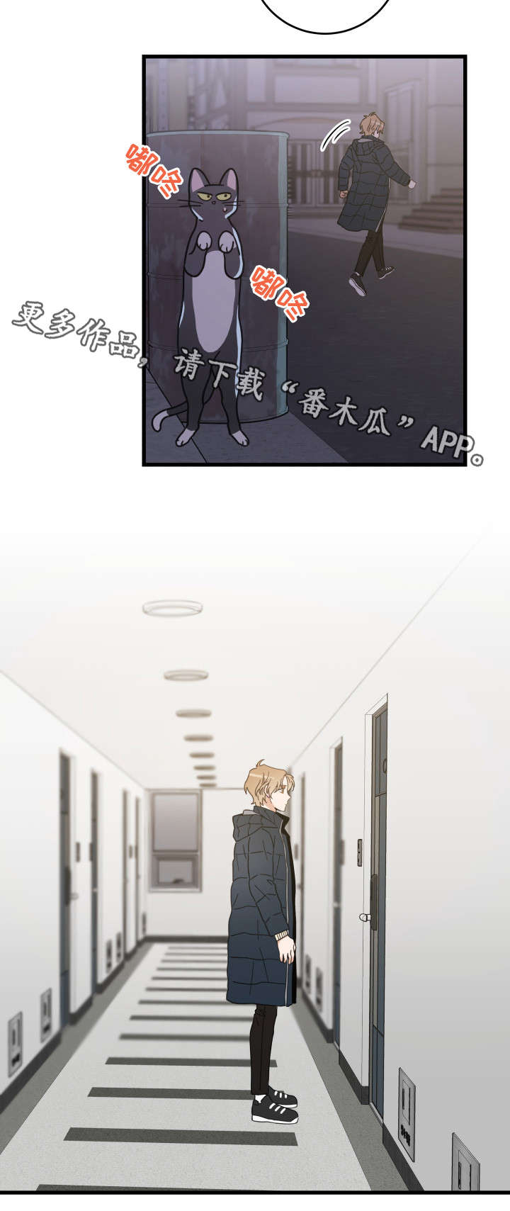 亲爱的喵君漫画,第36章：跟踪4图