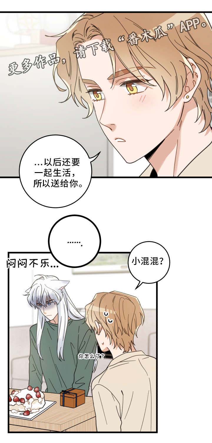 亲爱的喵君漫画,第28章：蛋糕3图