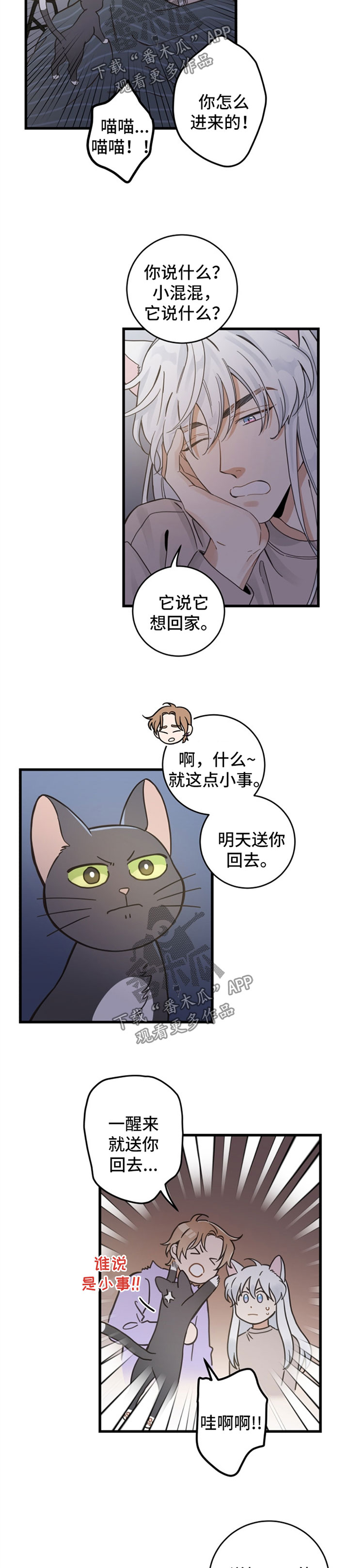 亲爱的喵君漫画,第82章：想要回家3图