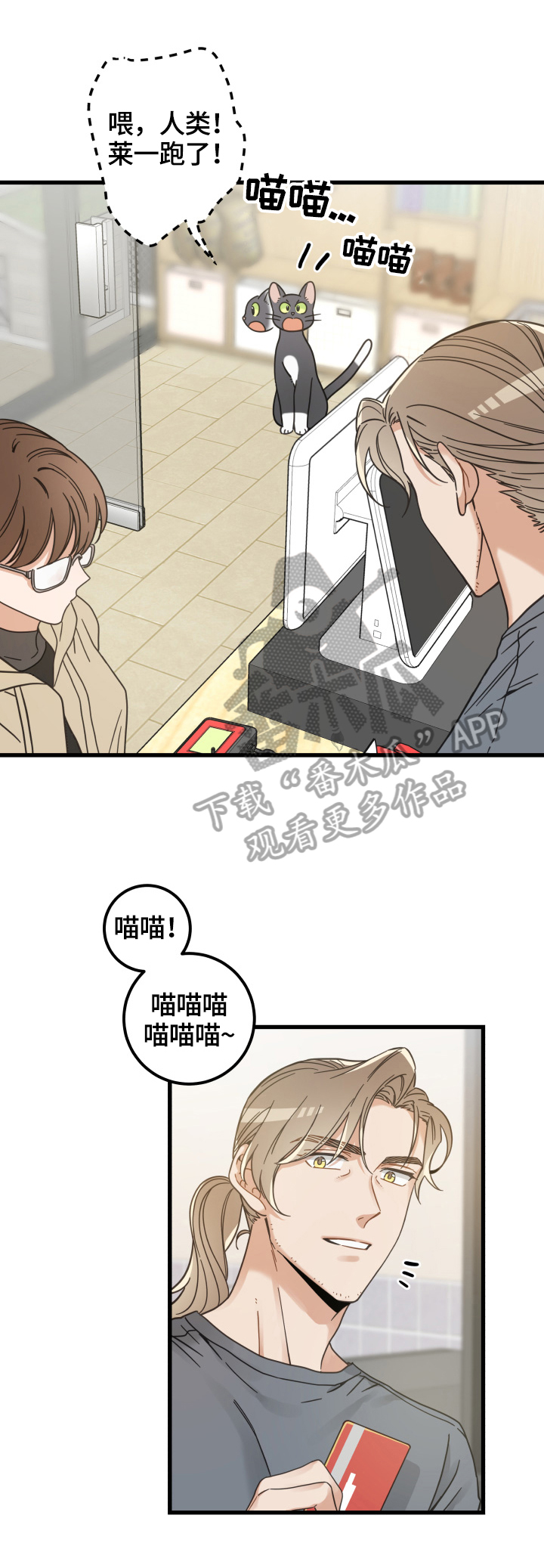 亲爱的喵君漫画,第64章：逃走2图