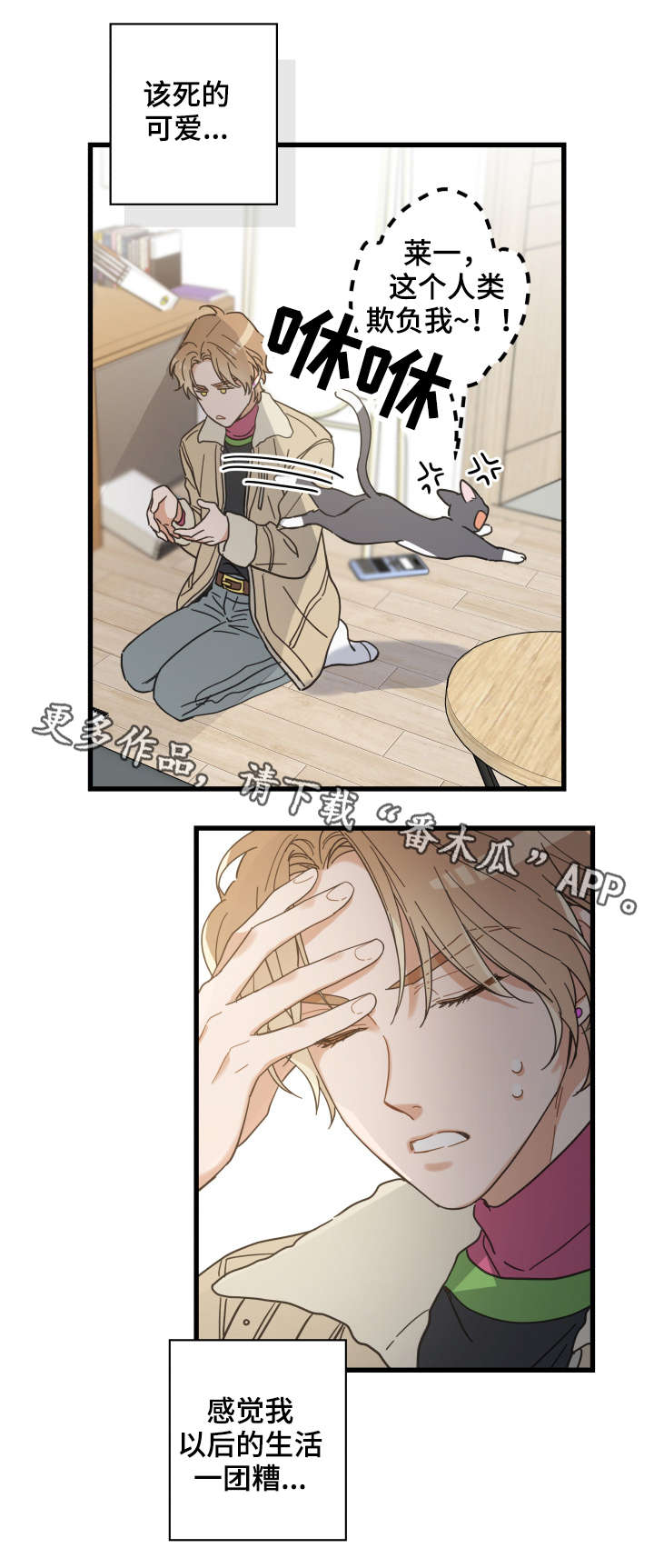 亲爱的喵君漫画,第42章：臭猫5图