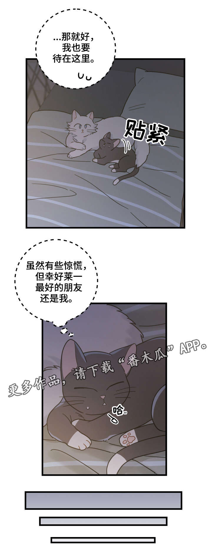 亲爱的喵君漫画,第39章：你别走2图
