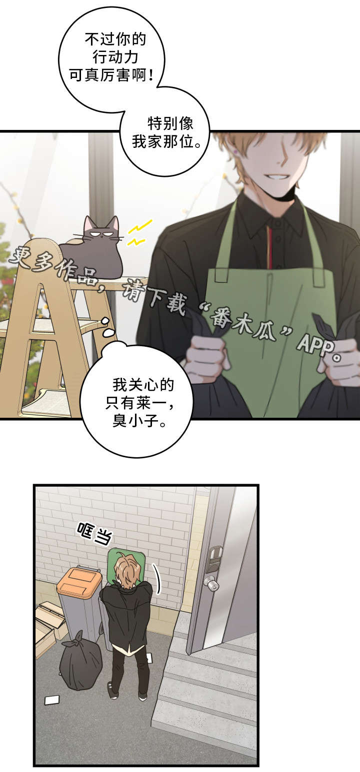 亲爱的喵君漫画,第35章：盯4图