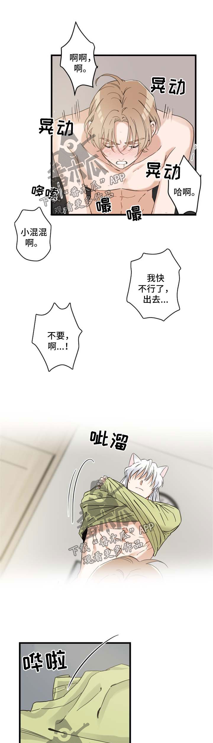 亲爱的喵君漫画,第78章：做你想做的1图