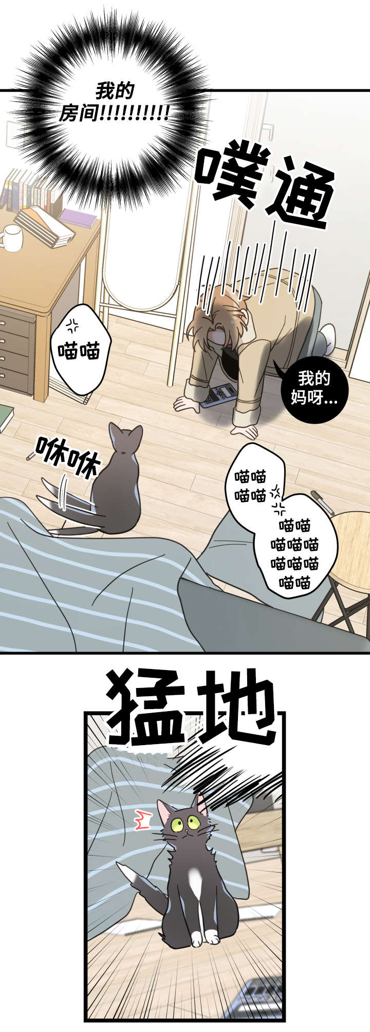 亲爱的喵君漫画,第42章：臭猫3图