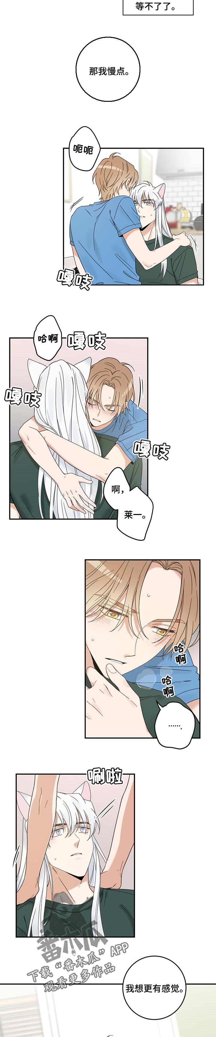亲爱的喵君漫画,第114章：以后也要在一起2图