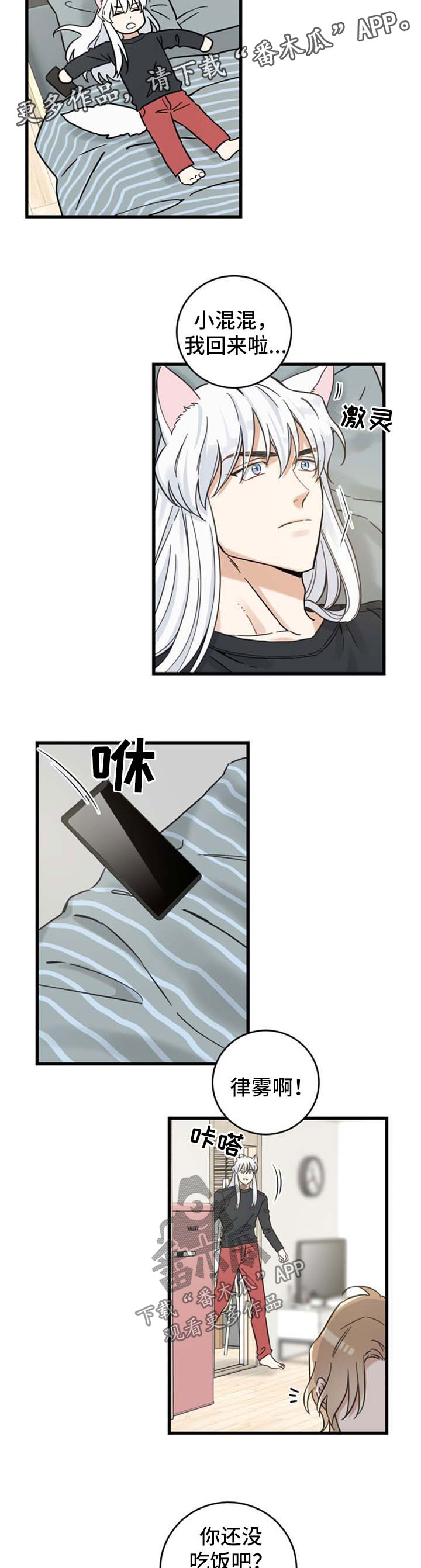 亲爱的喵君漫画,第93章：爱情事业双丰收3图