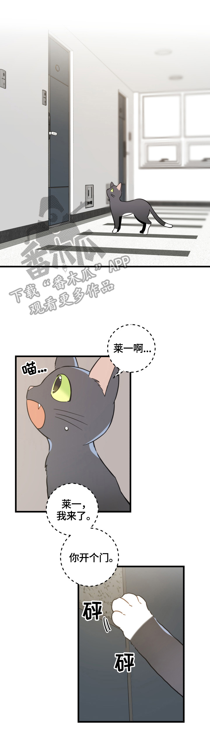亲爱的喵君漫画,第70章：安慰4图