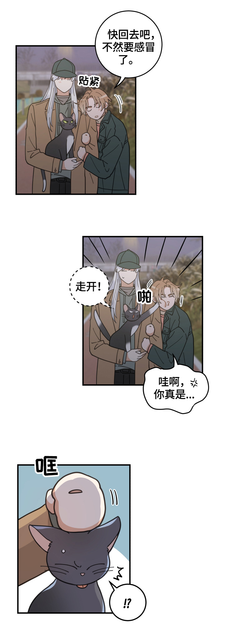 亲爱的喵君漫画,第54章：回家3图