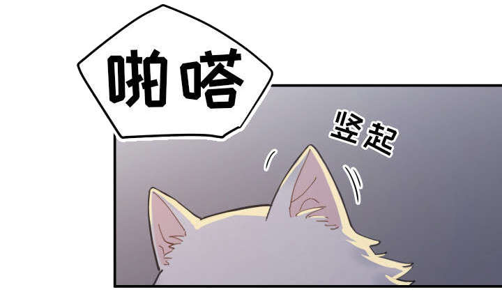 亲爱的喵君漫画,第2章：白猫4图