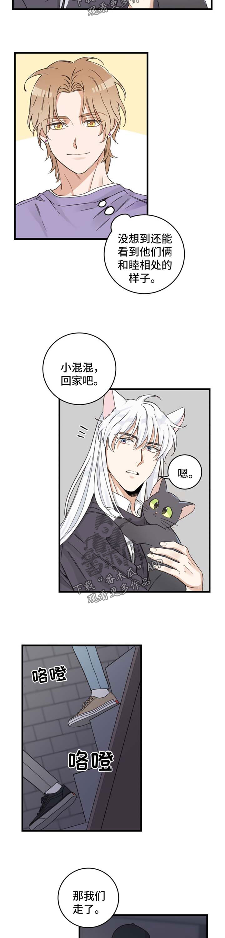 亲爱的喵君漫画,第80章：宠物心得4图