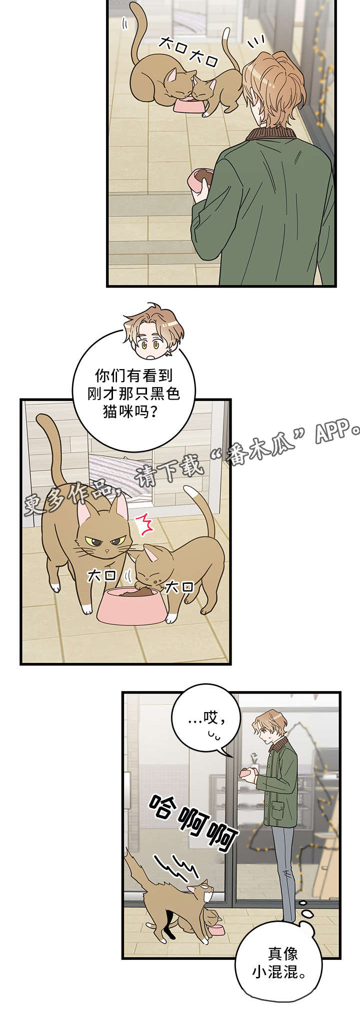 亲爱的喵君漫画,第31章：黑猫5图
