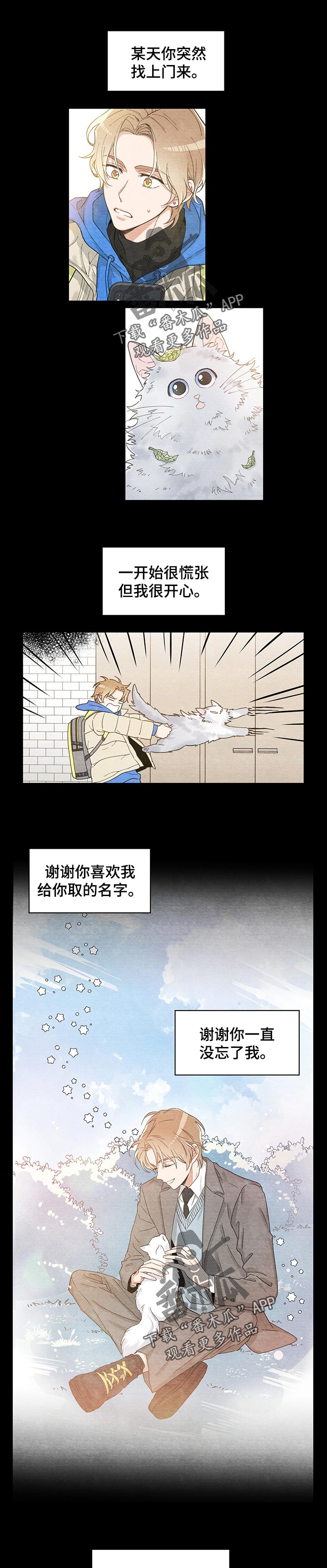 亲爱的喵君漫画,第106章：寻找1图