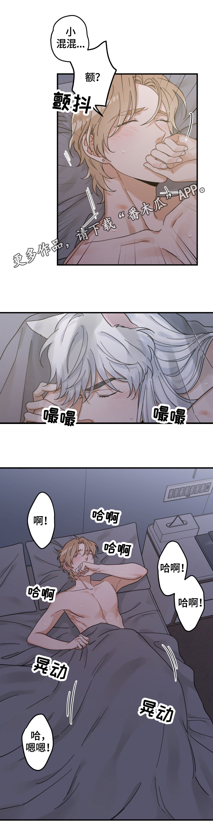 亲爱的喵君漫画,第52章：办法1图