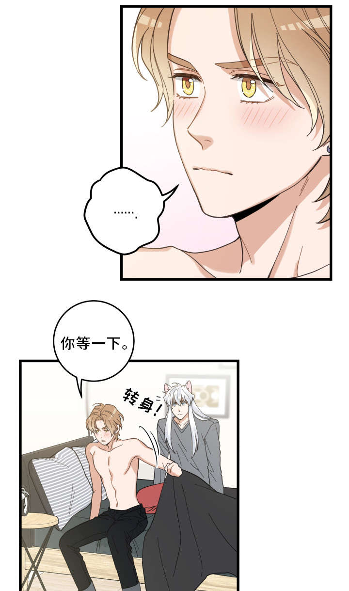 亲爱的喵君漫画,第25章：分享爱2图