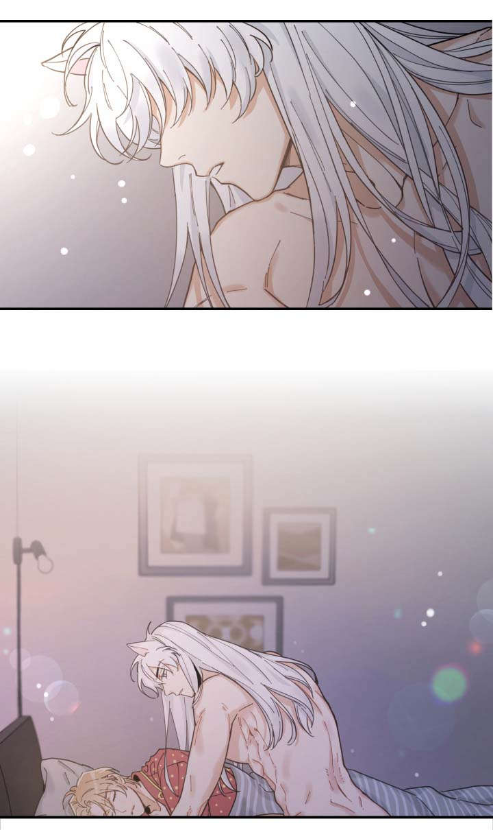亲爱的喵君漫画,第2章：白猫5图