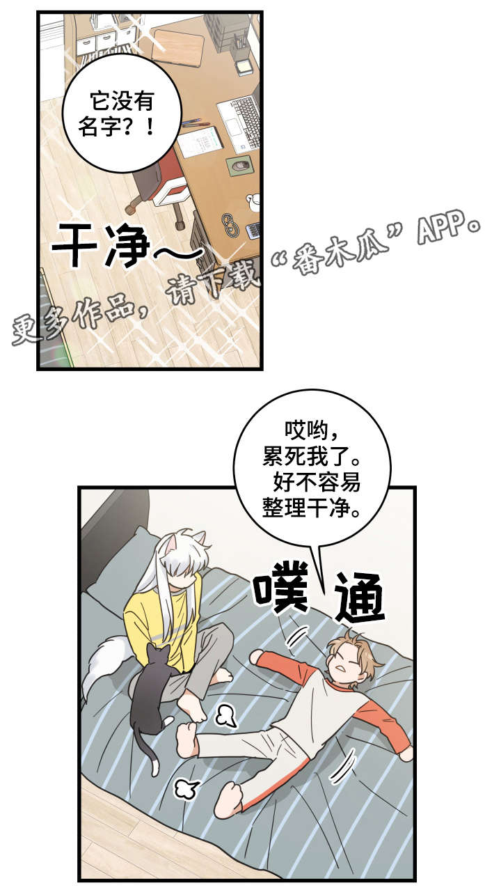 亲爱的喵君漫画,第42章：臭猫1图