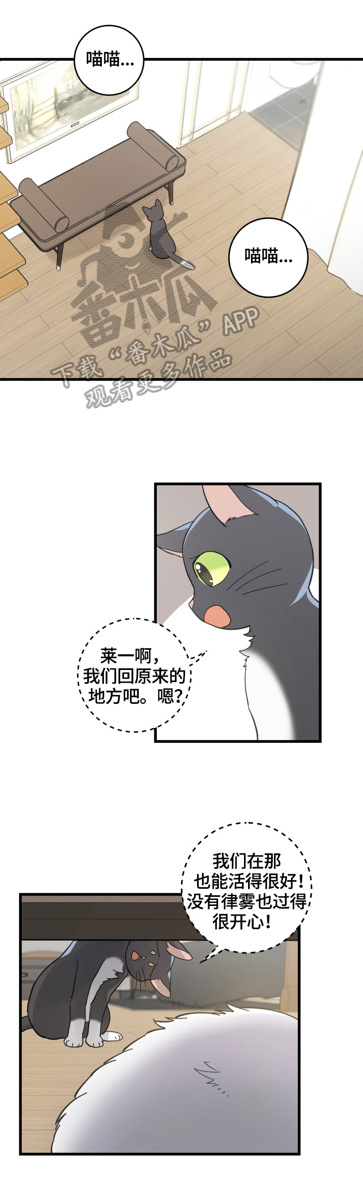 亲爱的喵君漫画,第60章：悲剧1图