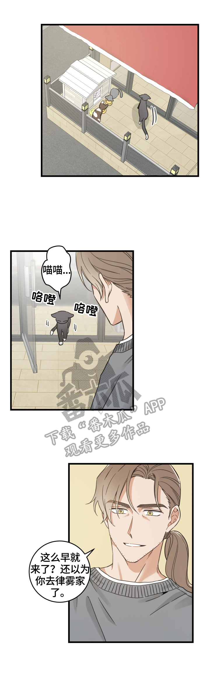 亲爱的喵君漫画,第70章：安慰3图
