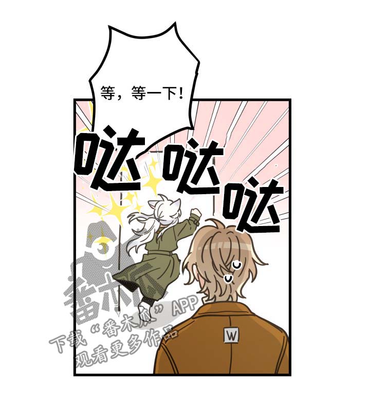 亲爱的喵君漫画,第48章：两人约会3图