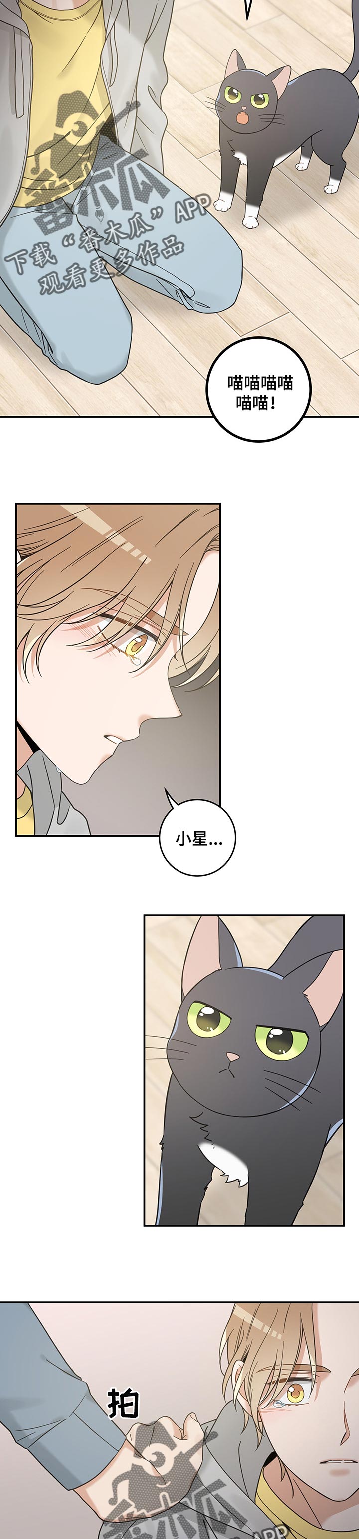 亲爱的喵君漫画,第105章：一定能找到5图