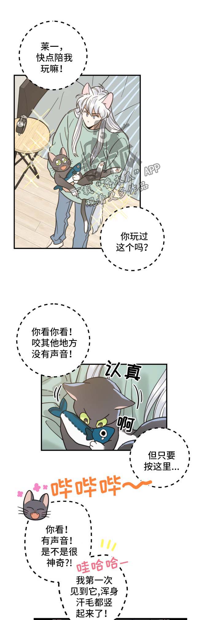 亲爱的喵君漫画,第45章：生气1图