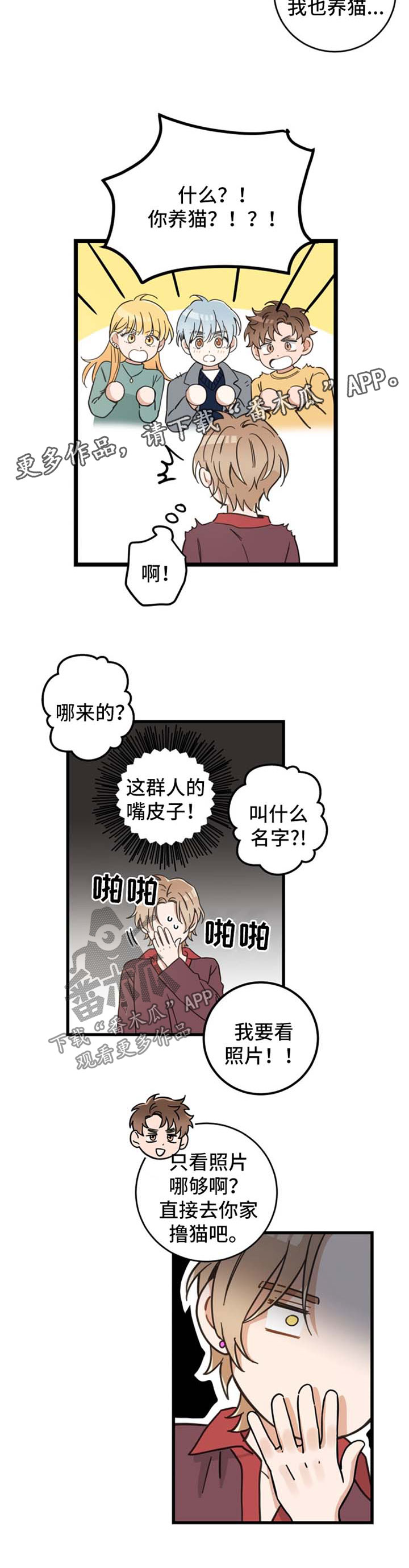 亲爱的喵君漫画,第80章：宠物心得1图