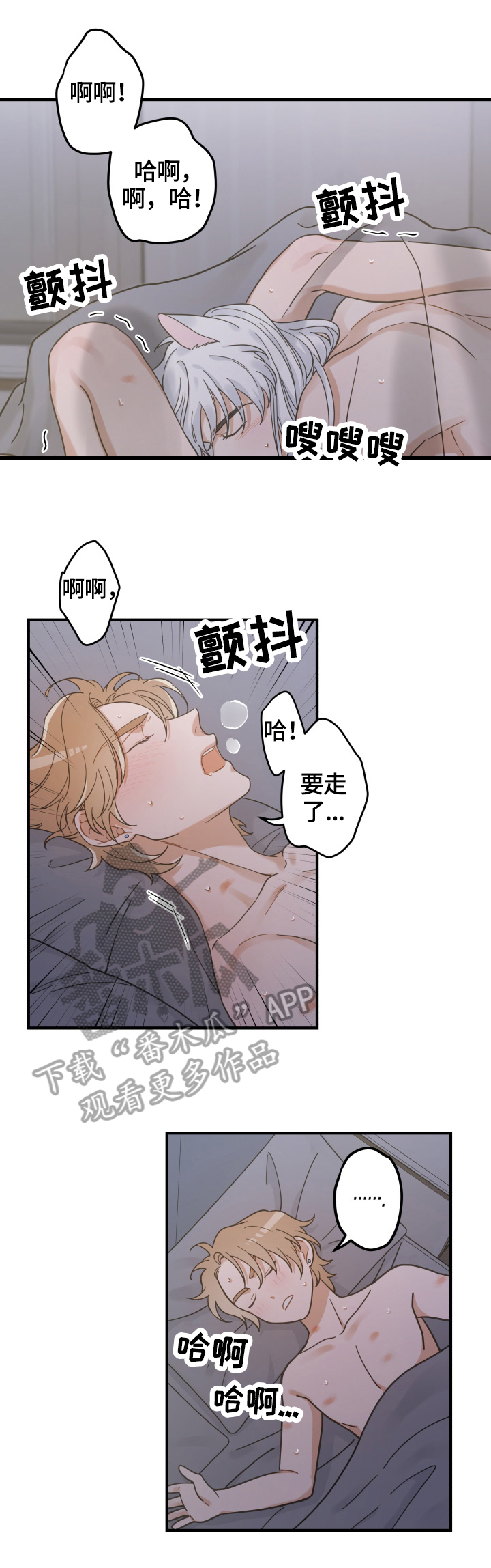 亲爱的喵君漫画,第52章：办法2图