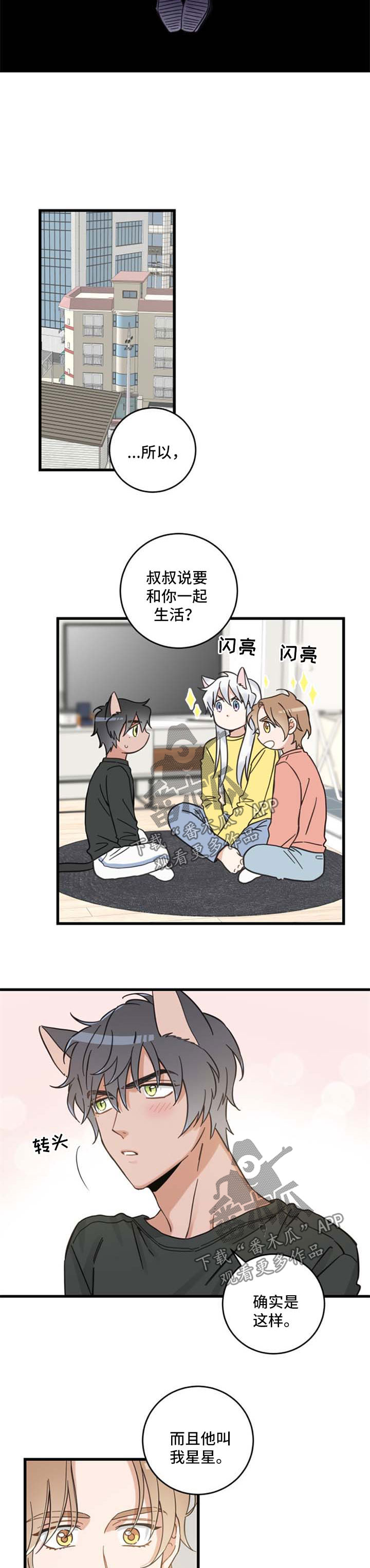 亲爱的喵君漫画,第86章：不同的喜欢2图