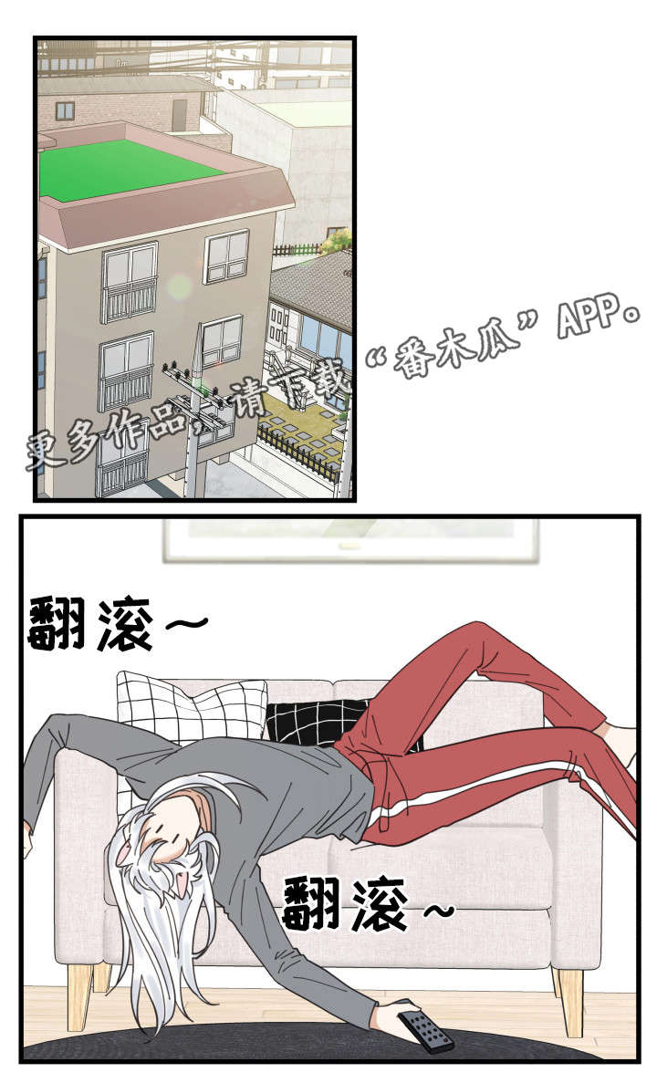 亲爱的喵君漫画,第24章：圣诞前夕2图