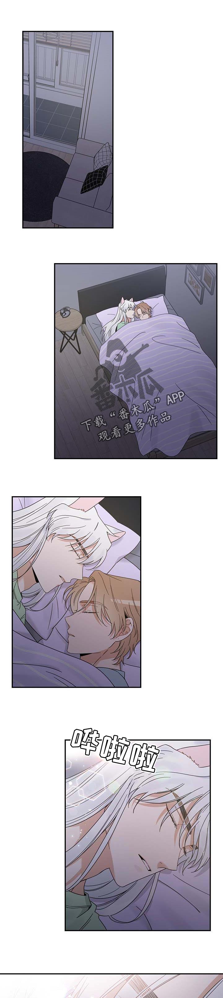 亲爱的喵君漫画,第115章：变成人了1图