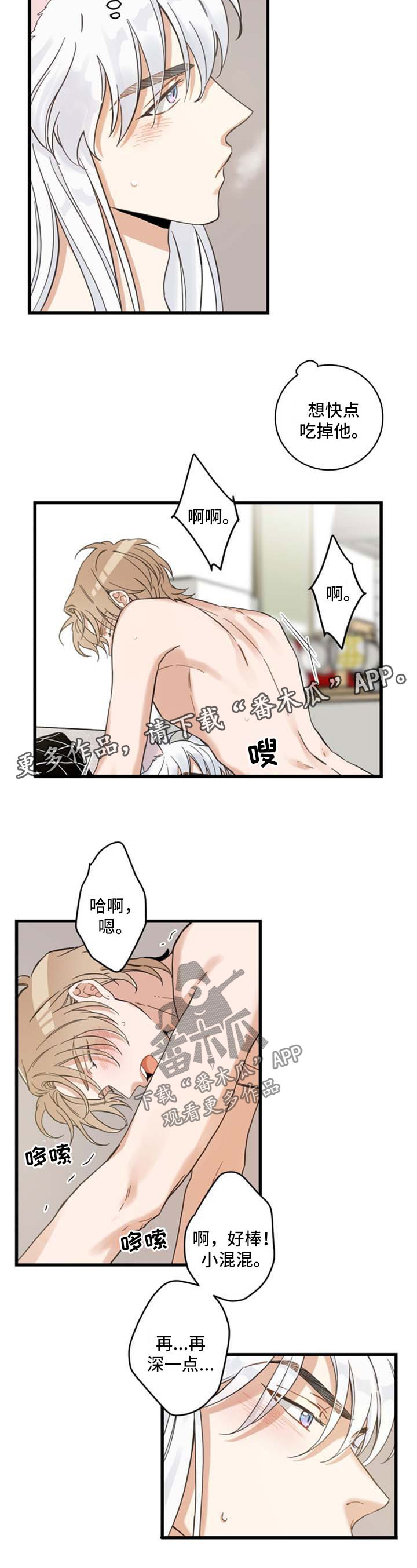 亲爱的喵君漫画,第78章：做你想做的5图
