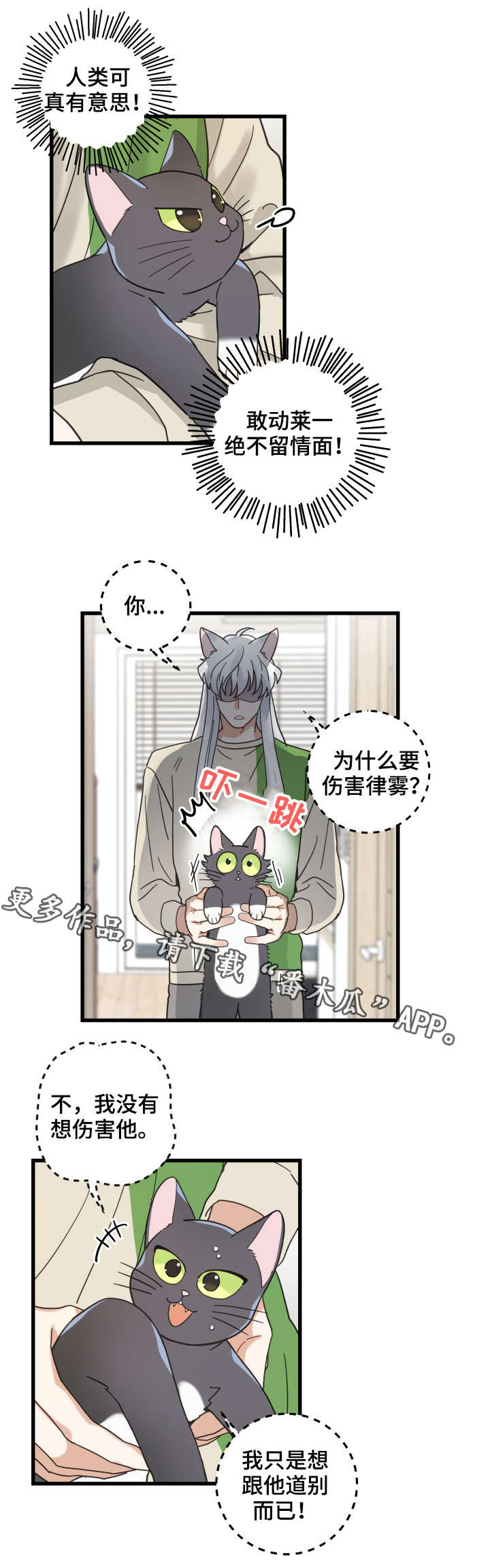 亲爱的喵君漫画,第40章：决心3图