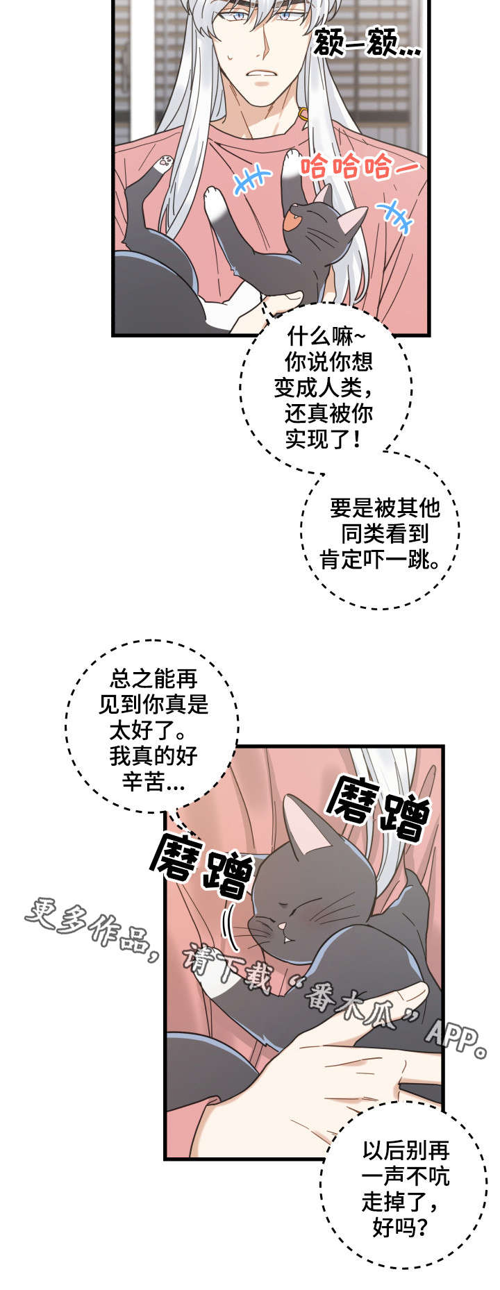 亲爱的喵君漫画,第37章：试探5图