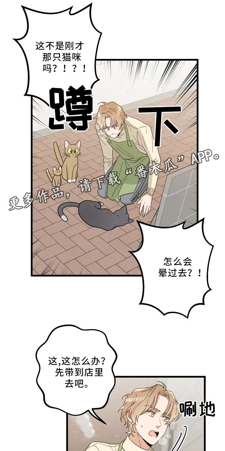 亲爱的喵君漫画,第32章：晕倒2图