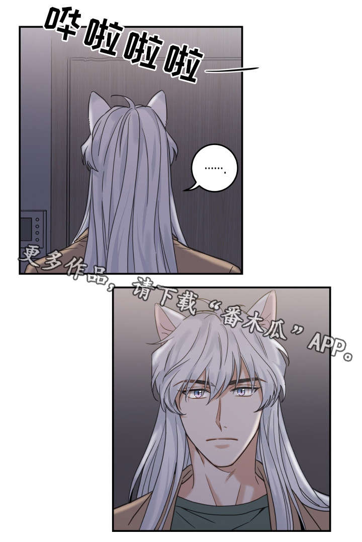 亲爱的喵君漫画,第17章：无法拒绝3图