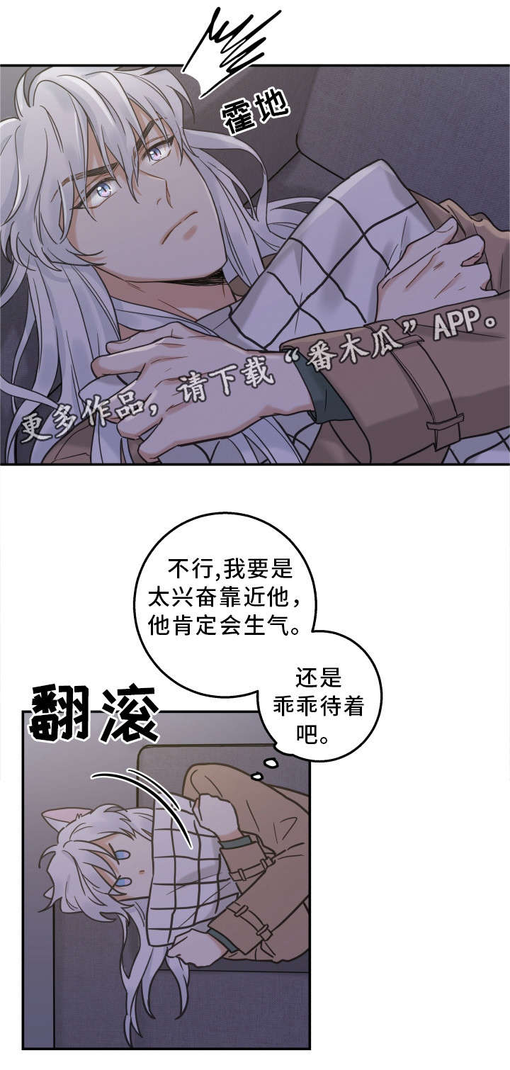 亲爱的喵君漫画,第17章：无法拒绝5图