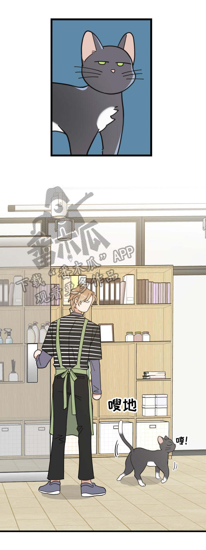 亲爱的喵君漫画,第56章：不能碰的东西1图