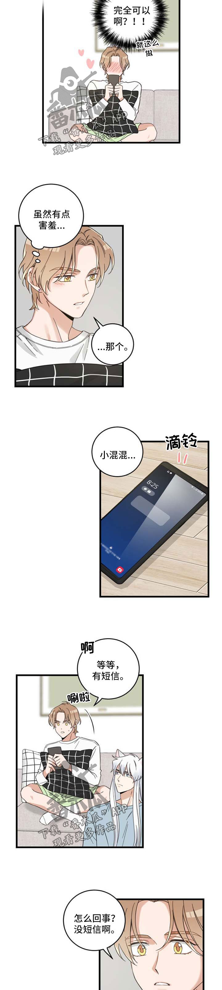 亲爱的喵君漫画,第97章：短信5图